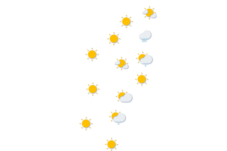Forecast