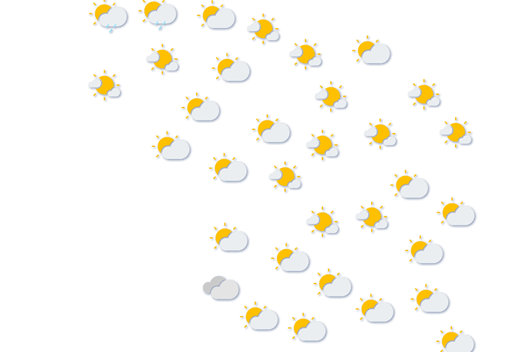 Forecast