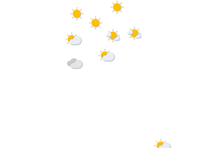 Forecast