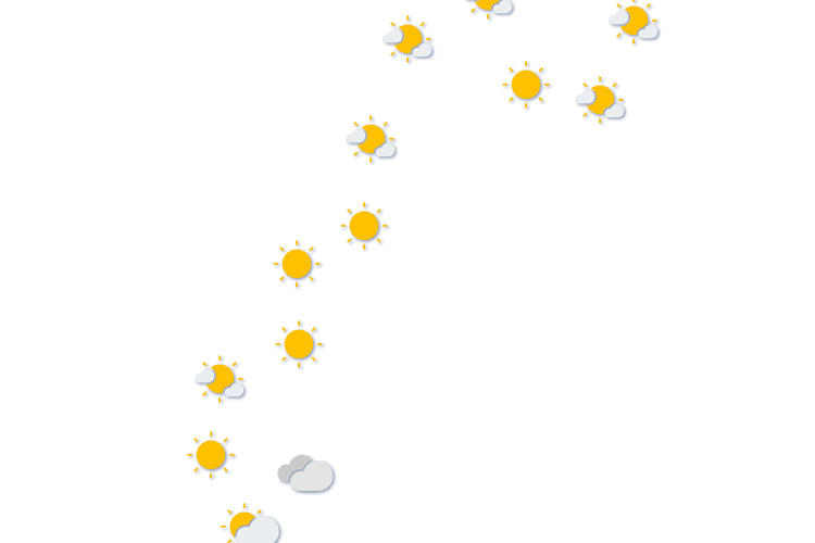 Forecast