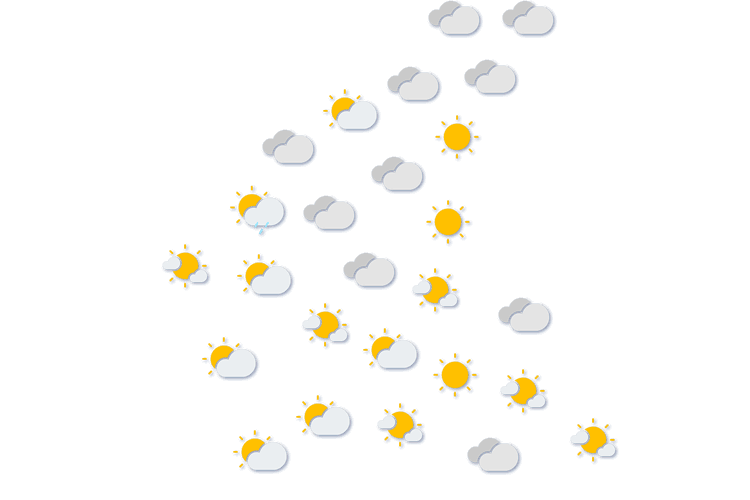 Forecast
