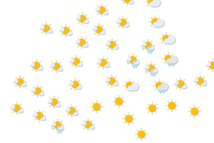 Forecast