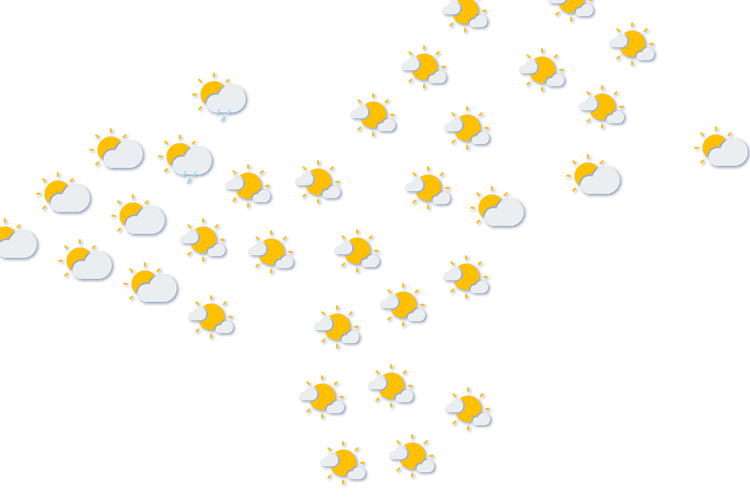 Forecast