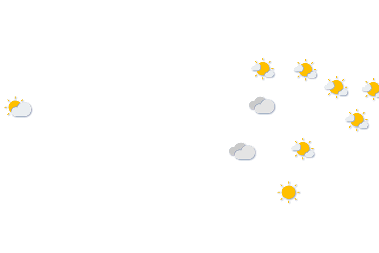 Forecast