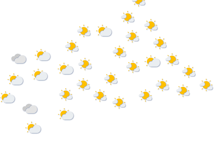 Forecast