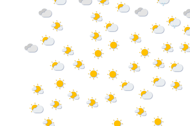 Forecast
