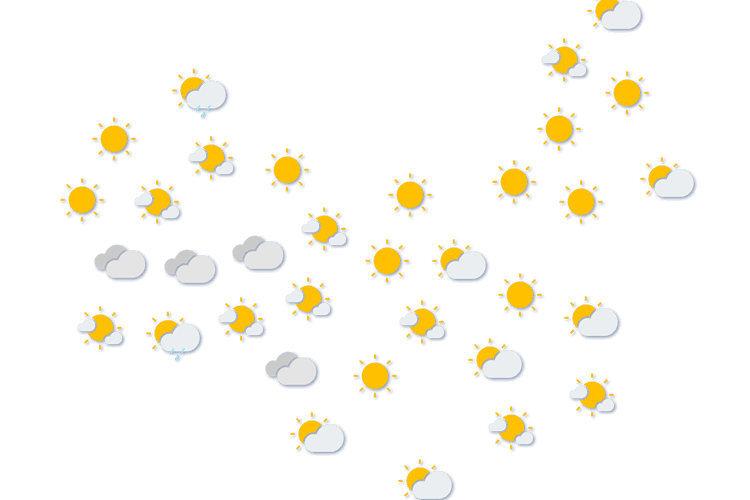 Forecast