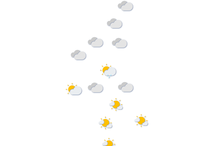 Forecast