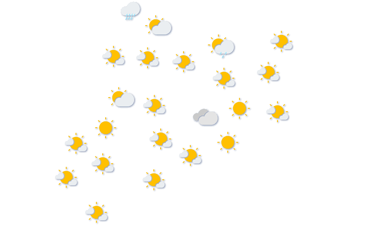 Forecast