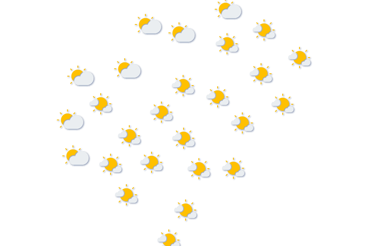 Forecast