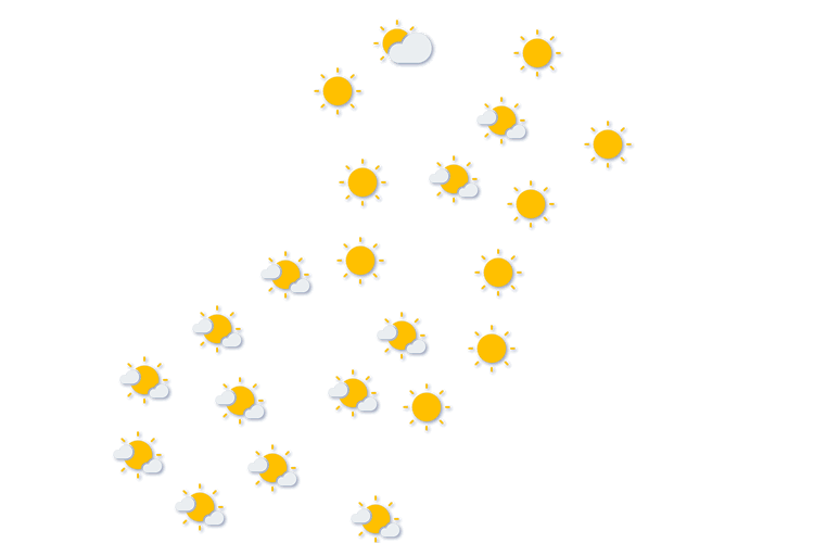 Forecast
