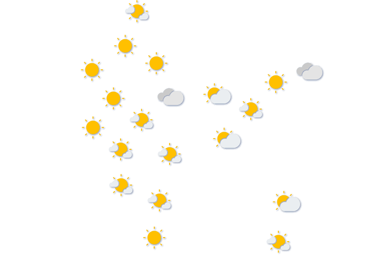Forecast