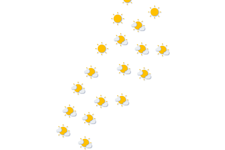 Forecast