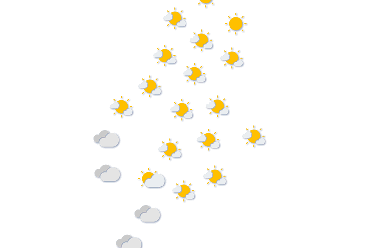 Forecast