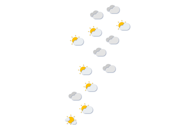 Forecast