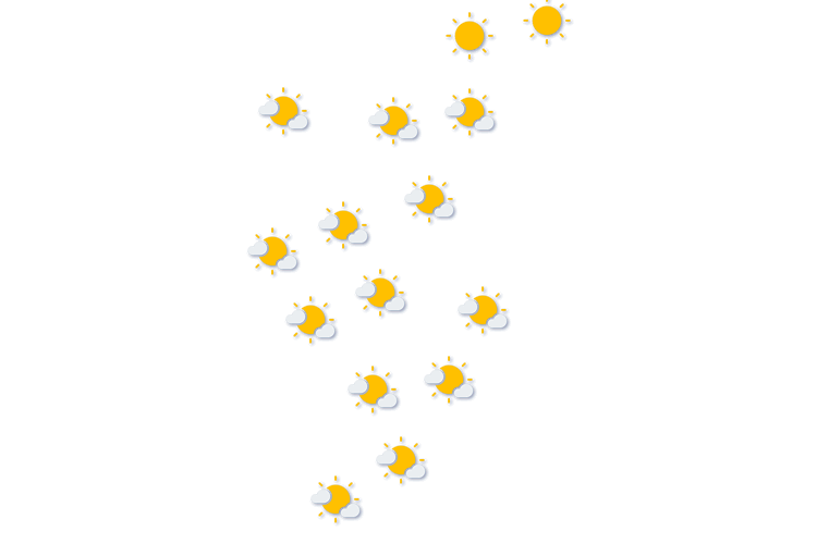 Forecast