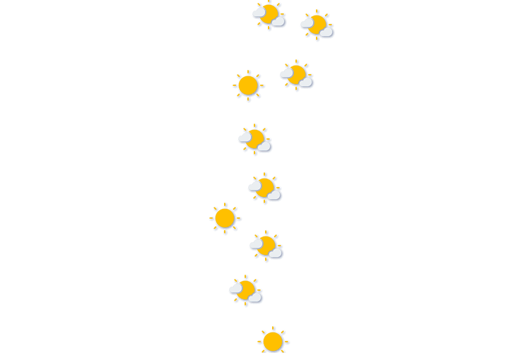 Forecast
