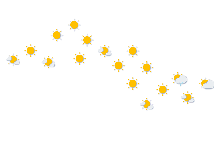 Forecast