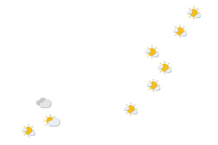 Forecast
