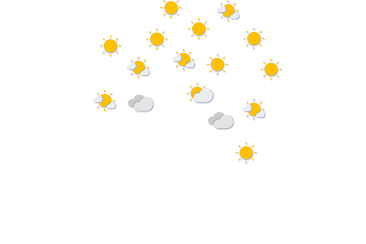 Forecast