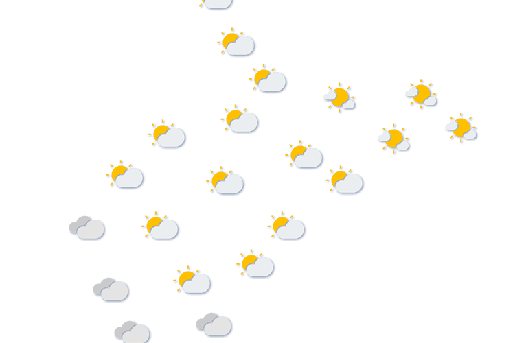 Forecast