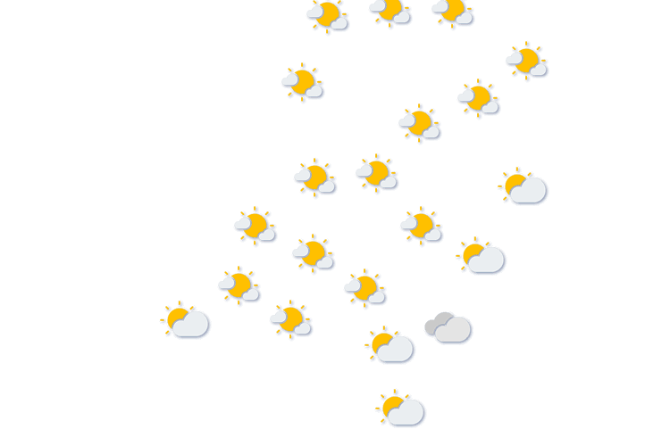 Forecast
