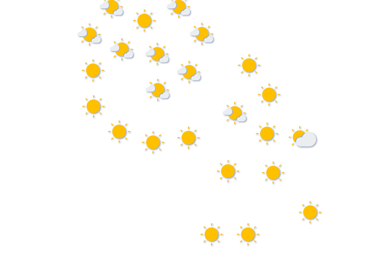 Forecast