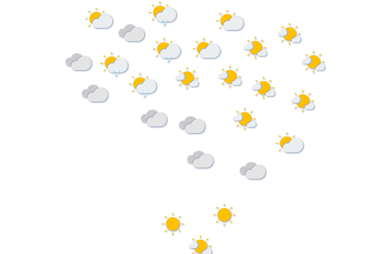 Forecast