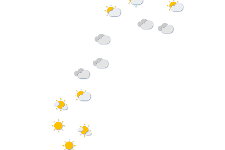 Forecast