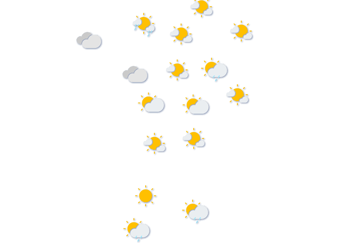 Forecast