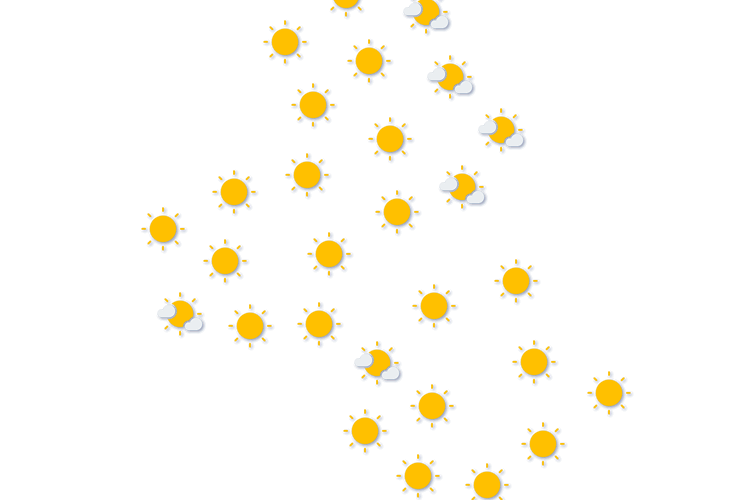 Forecast