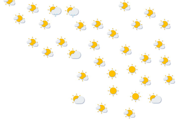 Forecast