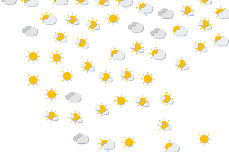 Forecast