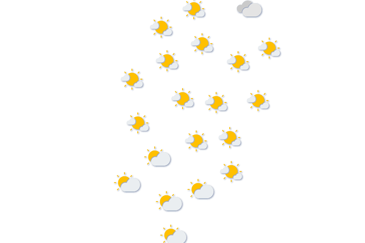 Forecast