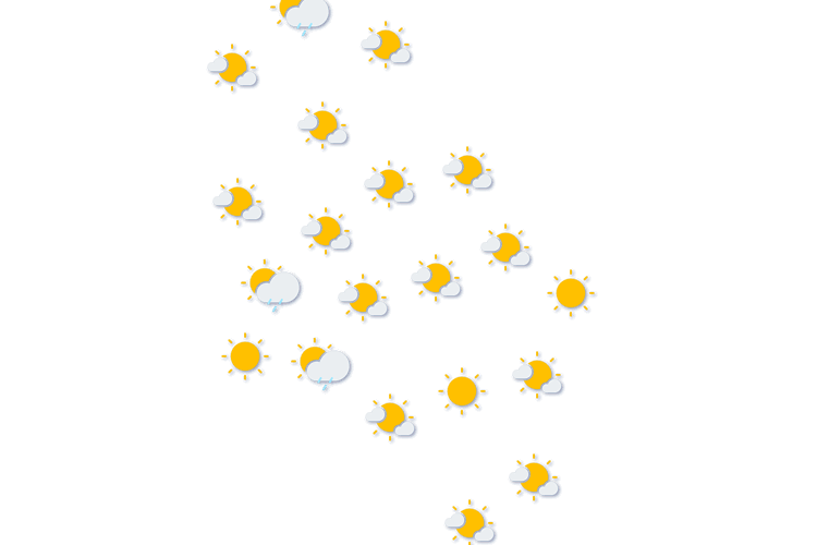Forecast