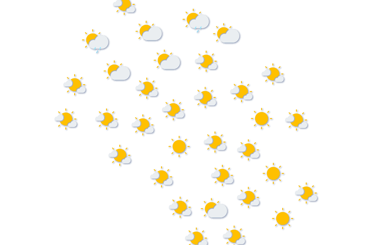 Forecast