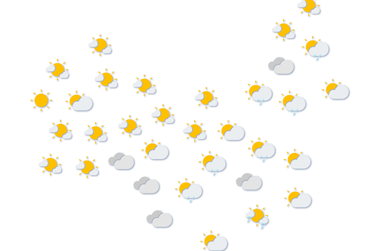 Forecast