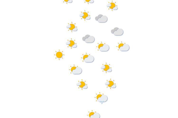 Forecast