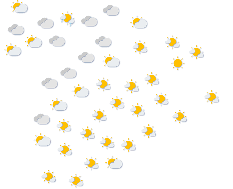 Forecast