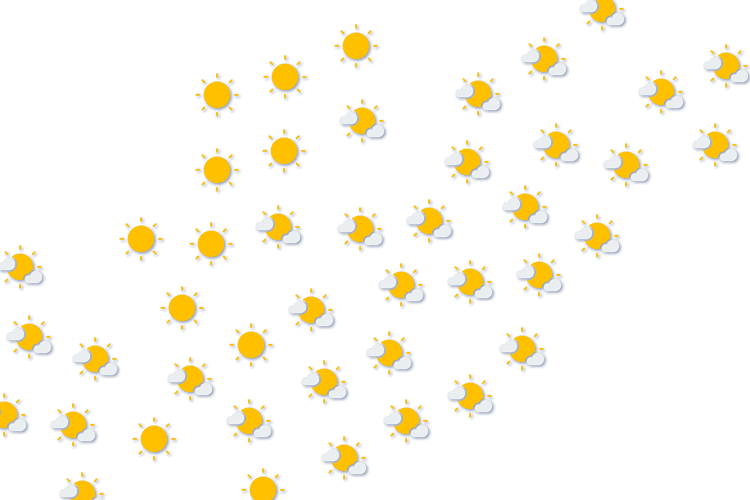 Forecast