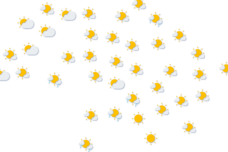 Forecast