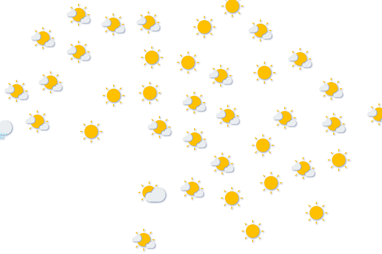 Forecast