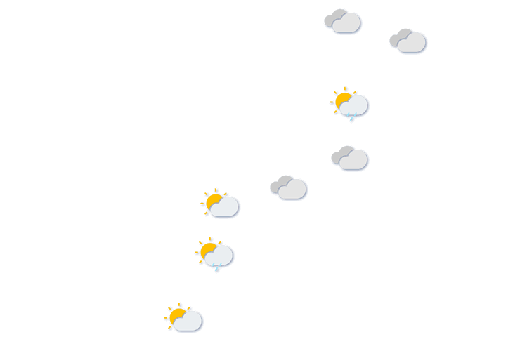 Forecast