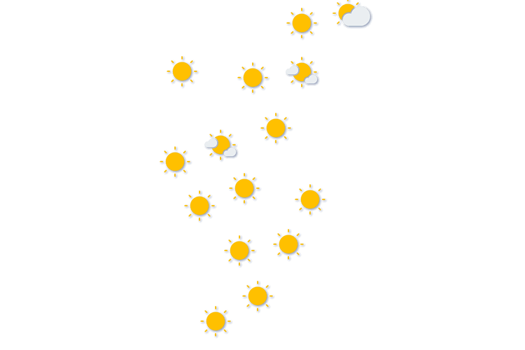 Forecast