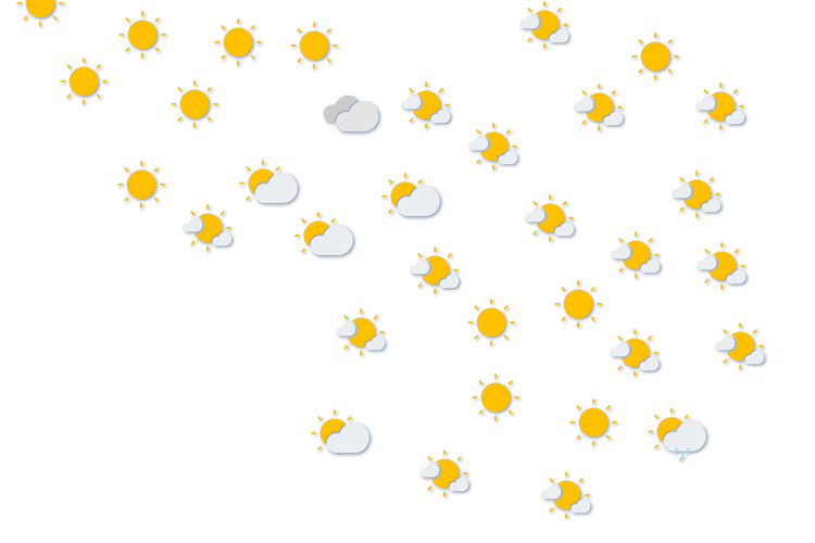 Forecast