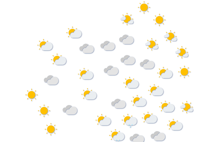 Forecast