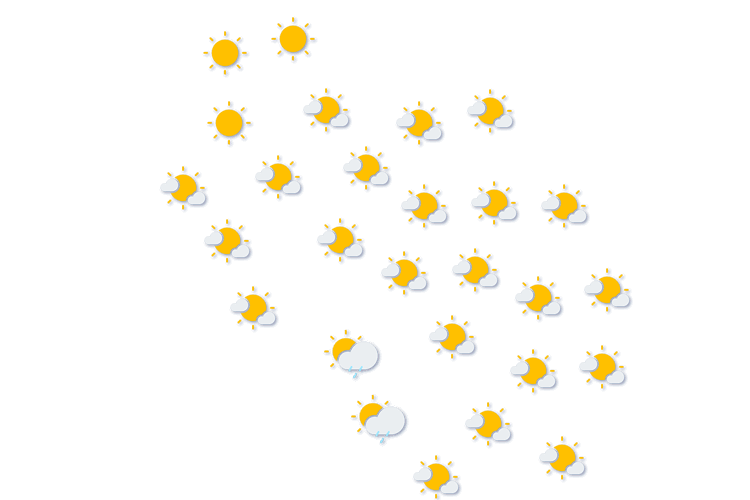 Forecast