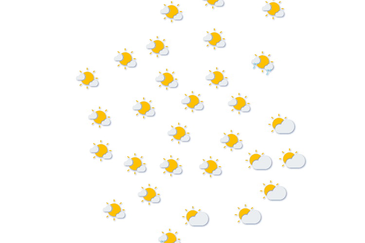 Forecast