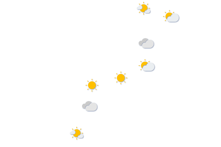 Forecast