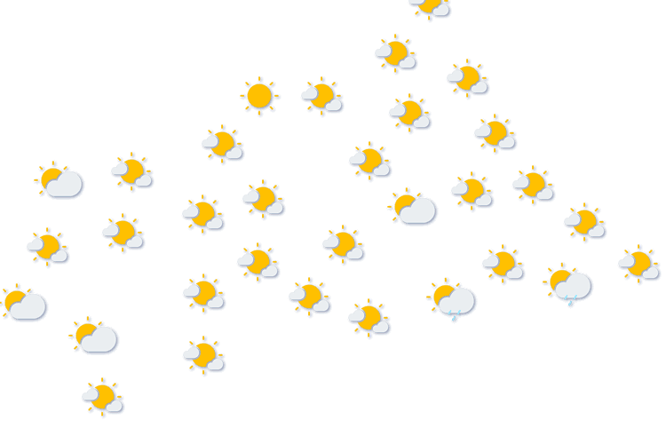 Forecast